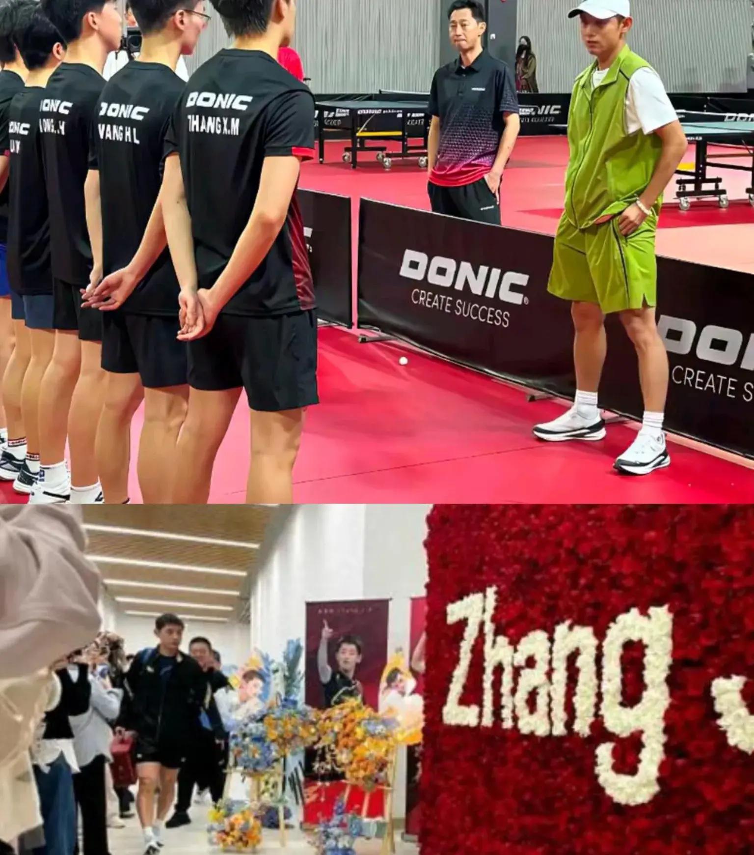 比利时乒乓球队血洗瑞典乒乓球队,张继科制霸全场 比利时乒乓球队血洗瑞典乒乓球队,张继科制霸全场