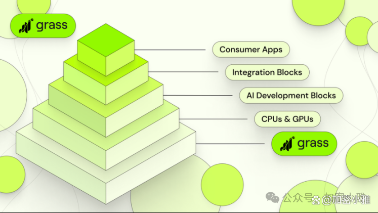 田径赔率刷新纪录，竞猜热度飙升的简单介绍