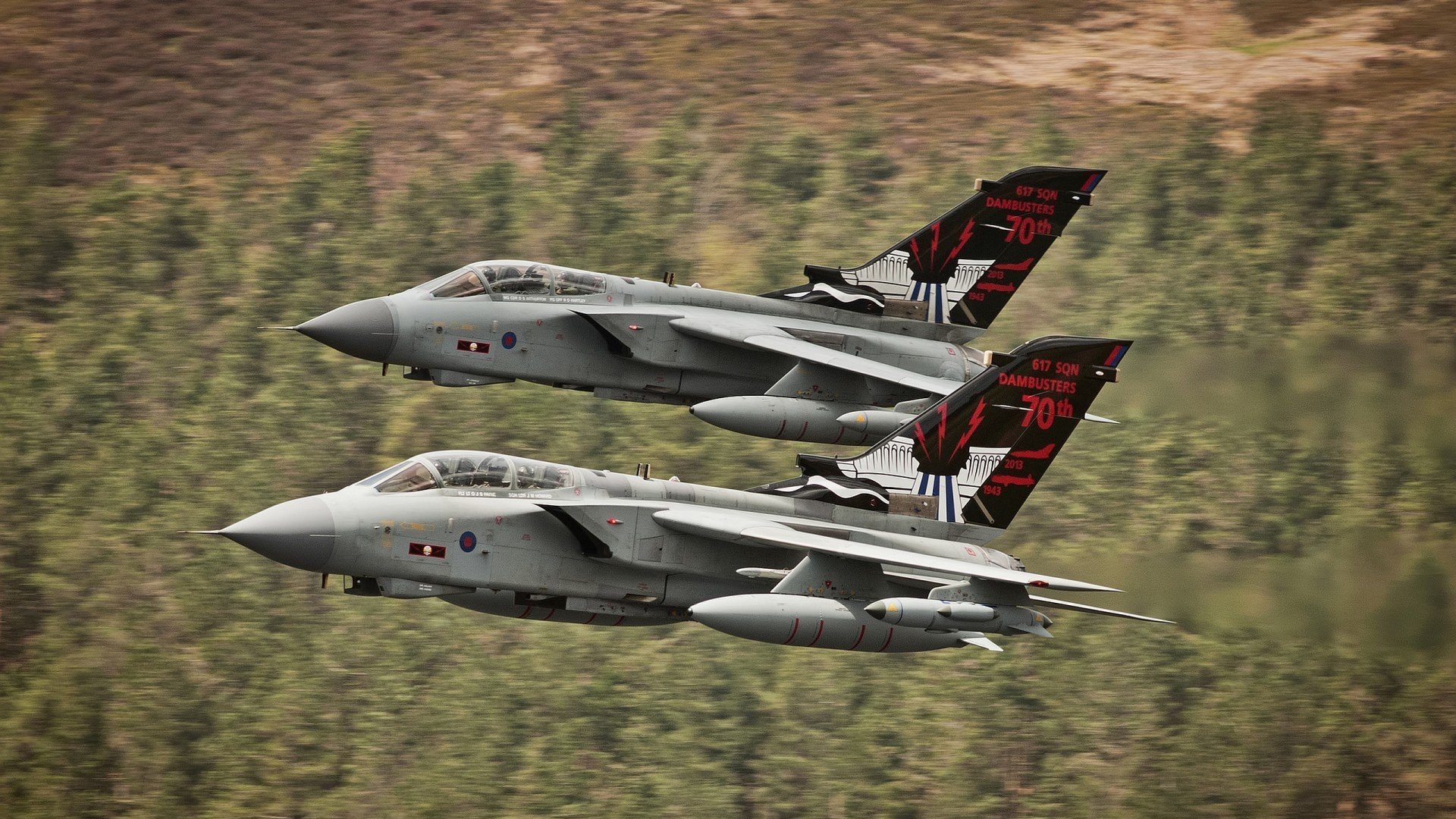 鏖战五局，张本智和刷新最年轻纪录率日本队力克法国