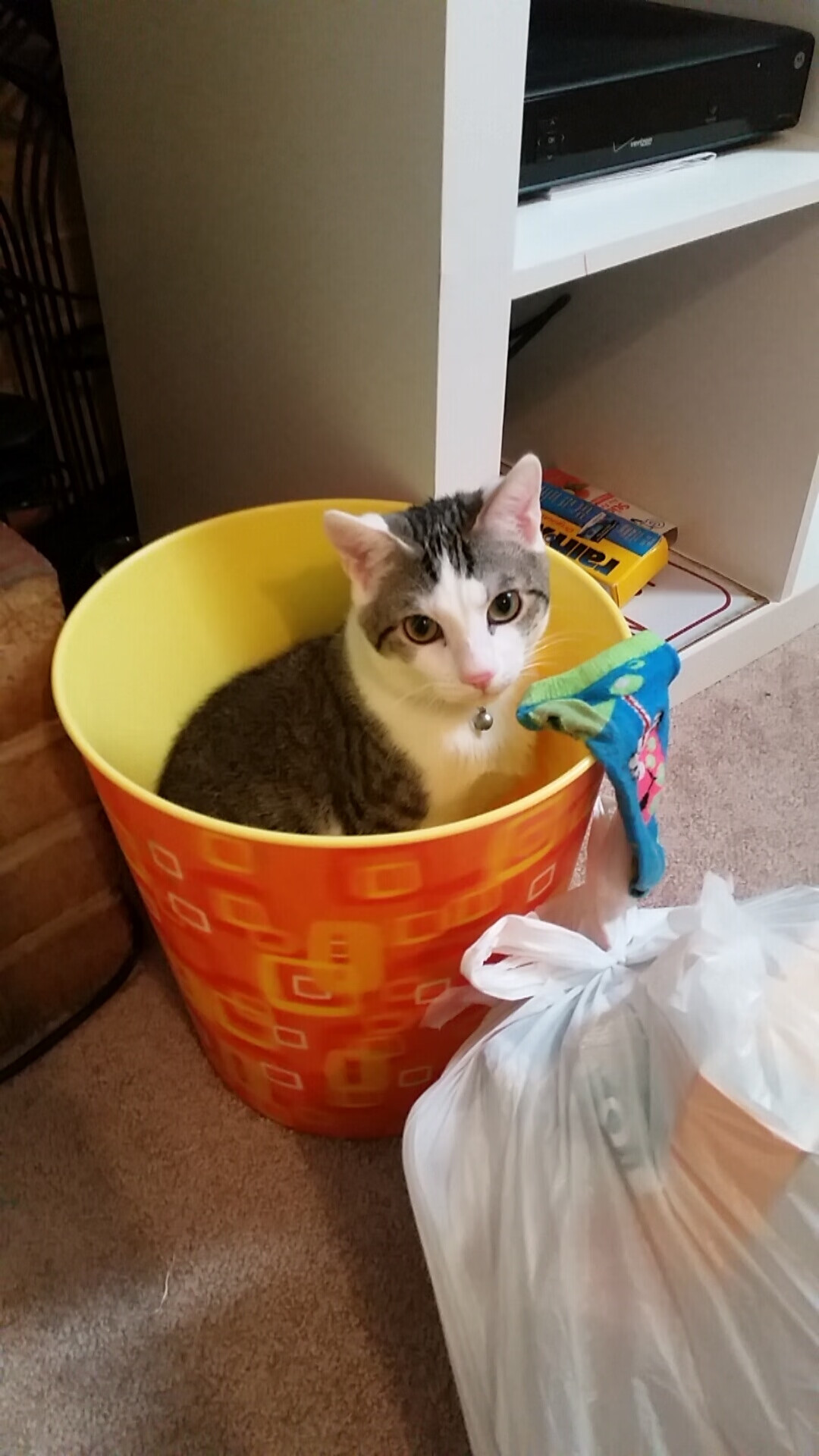 唯一对决,当曼城蓝遇见桑巴黄,阿圭罗写下跨越国界的传奇