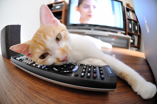 奥运门票的灼热时刻,当巴斯托尼在加时熔炉中接管比赛