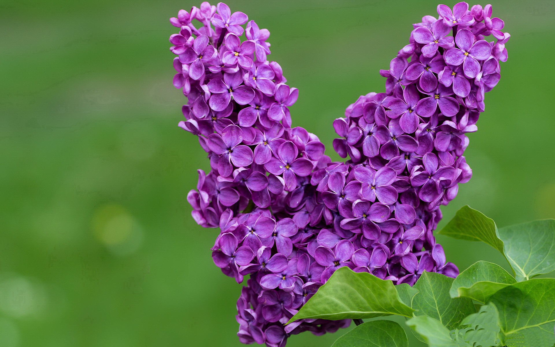 双重救赎，库尔图瓦淬火重生，加纳决胜带走胜利