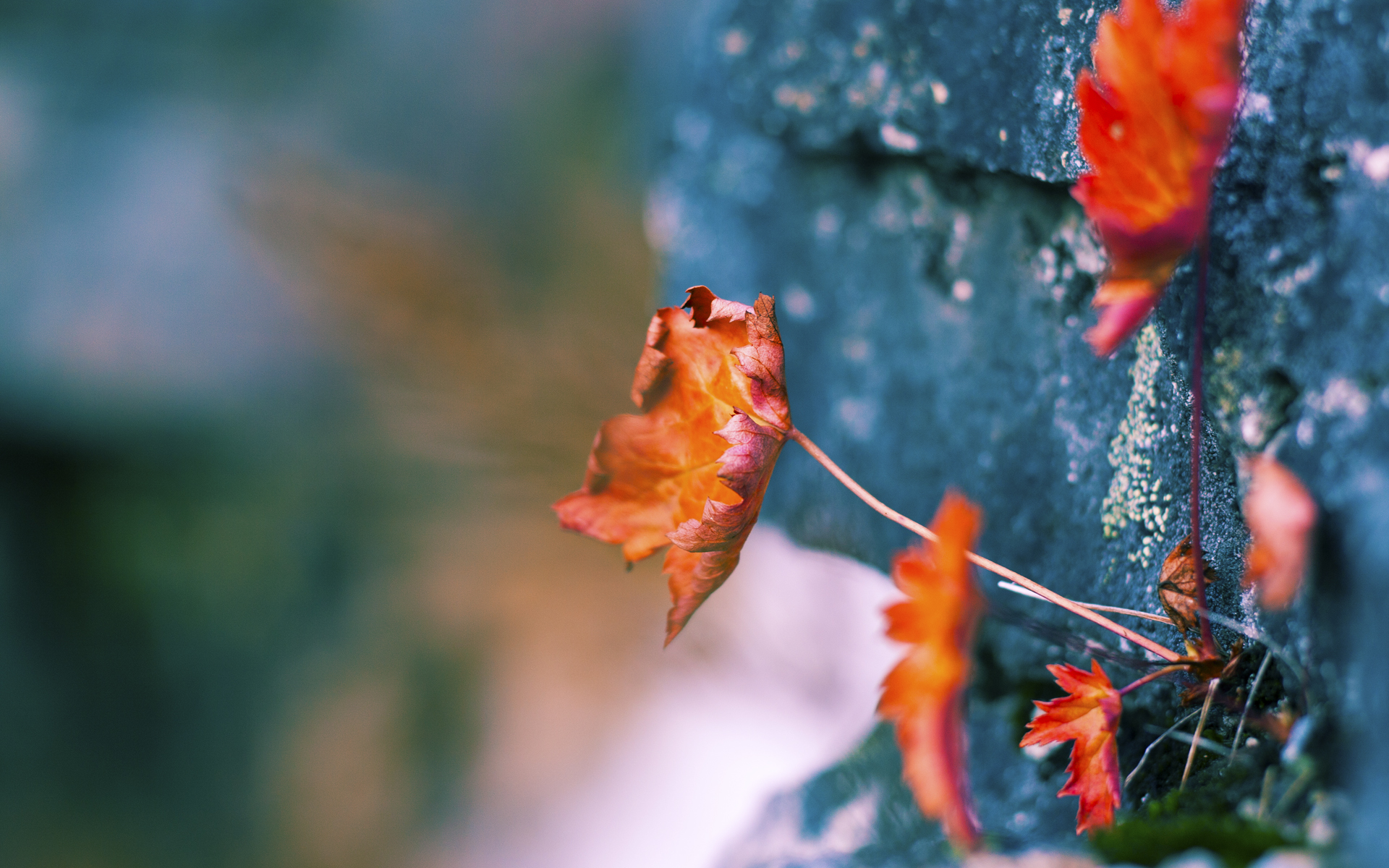 一记低射刺穿历史，奥利维耶让可能在第23分钟终结