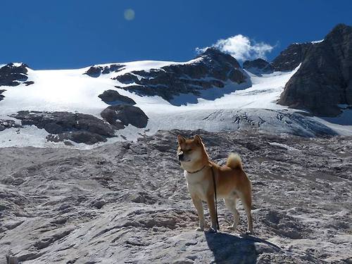 独行侠全面压制马刺，欧文再证硬仗之王本色