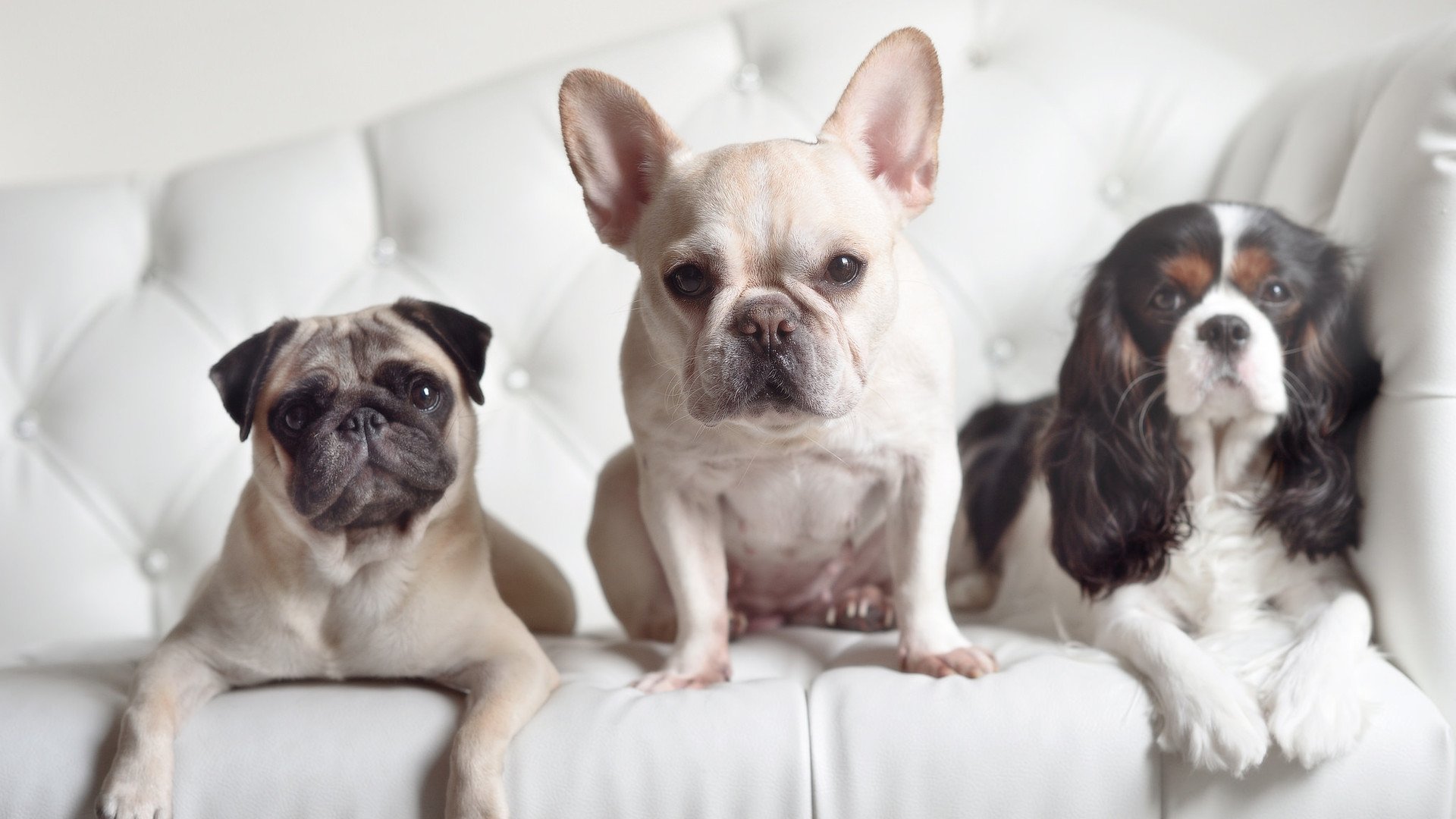 狂热周末，从诺坎普到奥体，中国球迷的双线观战实录