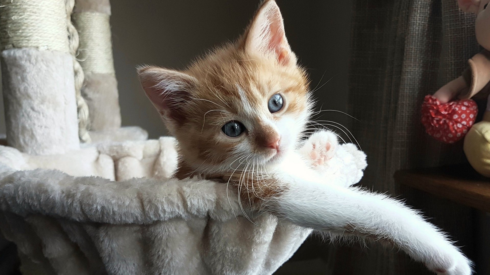 唯一的定义者，库尔图瓦用双掌改写国家德比之夜