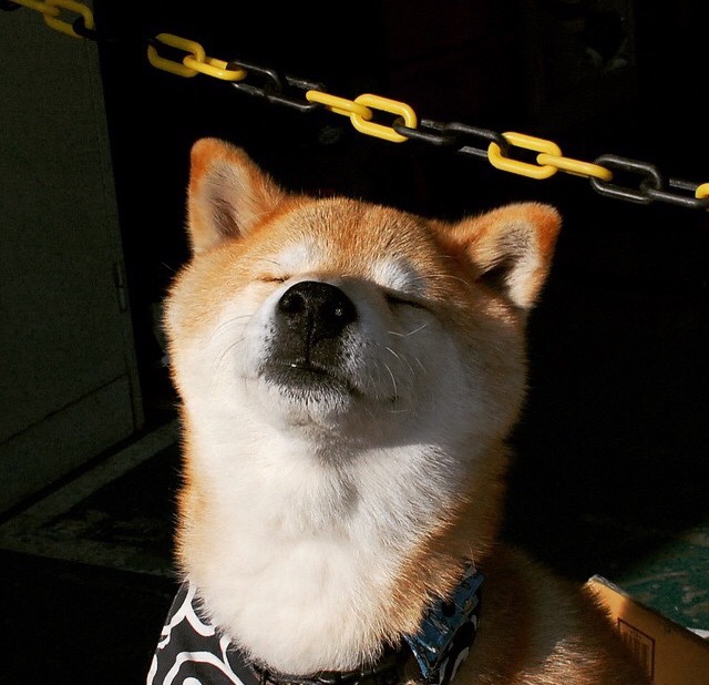 当曼城枪手鏖战伊蒂哈德，药厂已在巴黎缔造传说