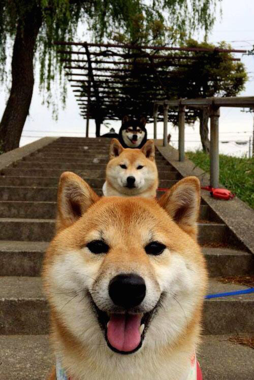 赖斯独造三球，洪都拉斯火山喷发碾压皇家社会—一场定义美丽混乱的战术博弈