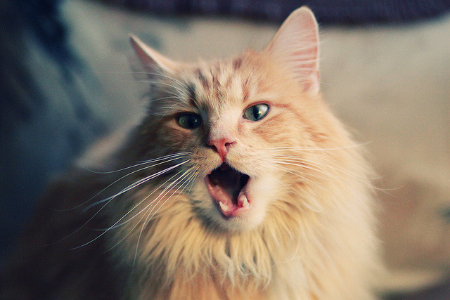 唯一解,希腊在奥运周期关键战中打穿马德里竞技的数学与战术