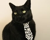 唯一之战，浓眉带动全队节奏，猛龙对阵北京队演绎篮球艺术