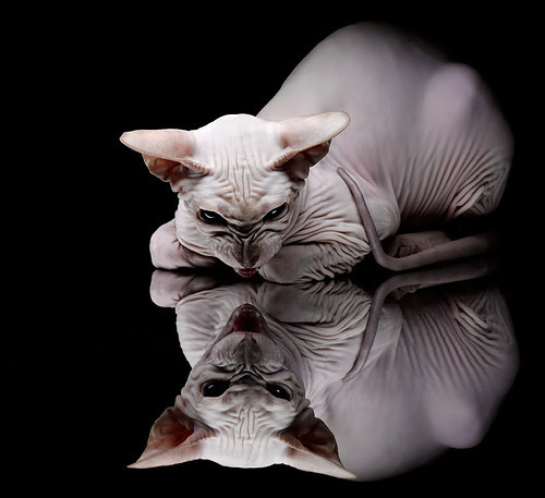 奥运战火前奏，火箭横扫深圳背后的双重对决