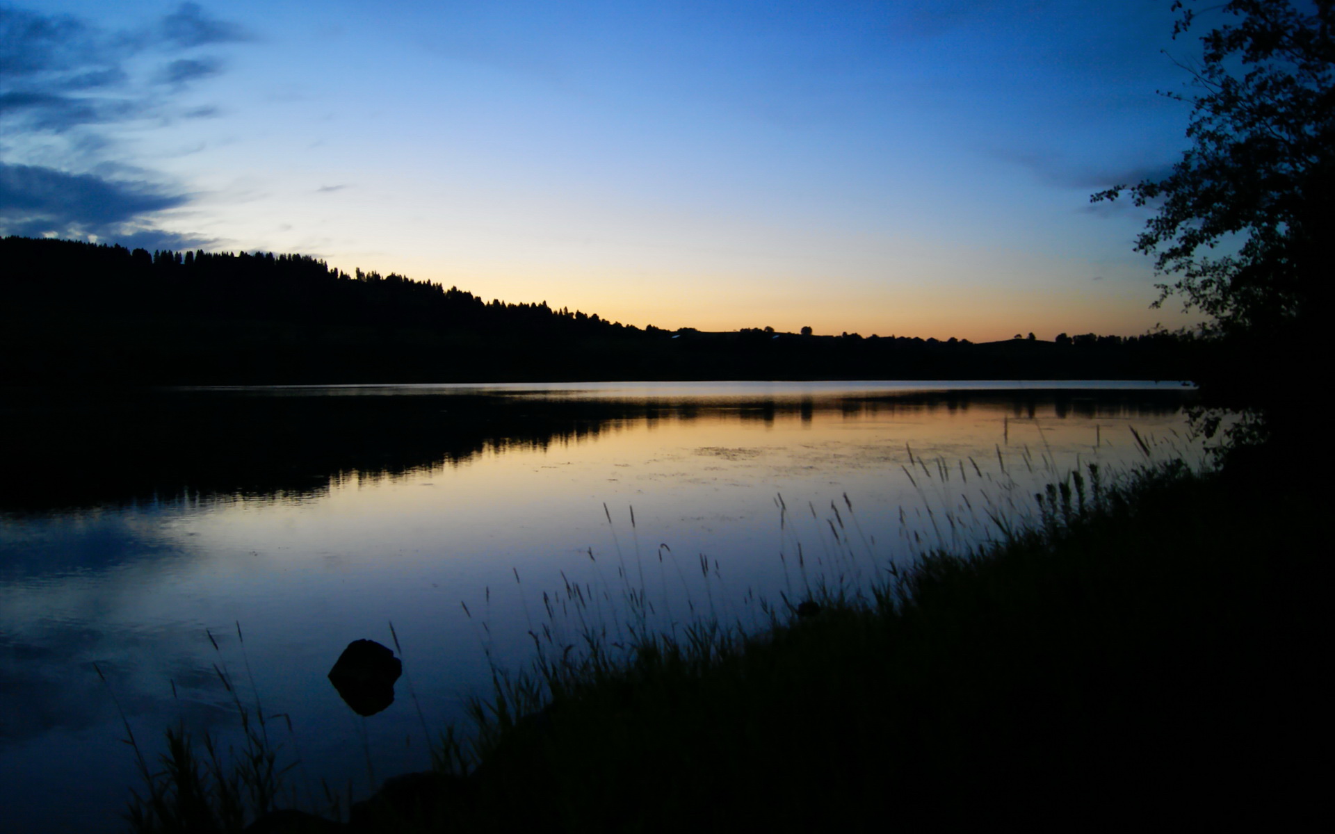 阿坎吉爆发,塞维利亚如何制霸阿尔及利亚足球版图
